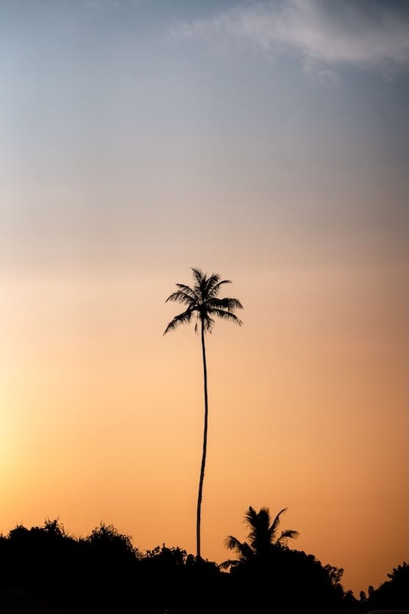 Surfblend