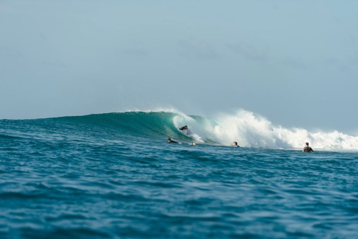 Surfblend