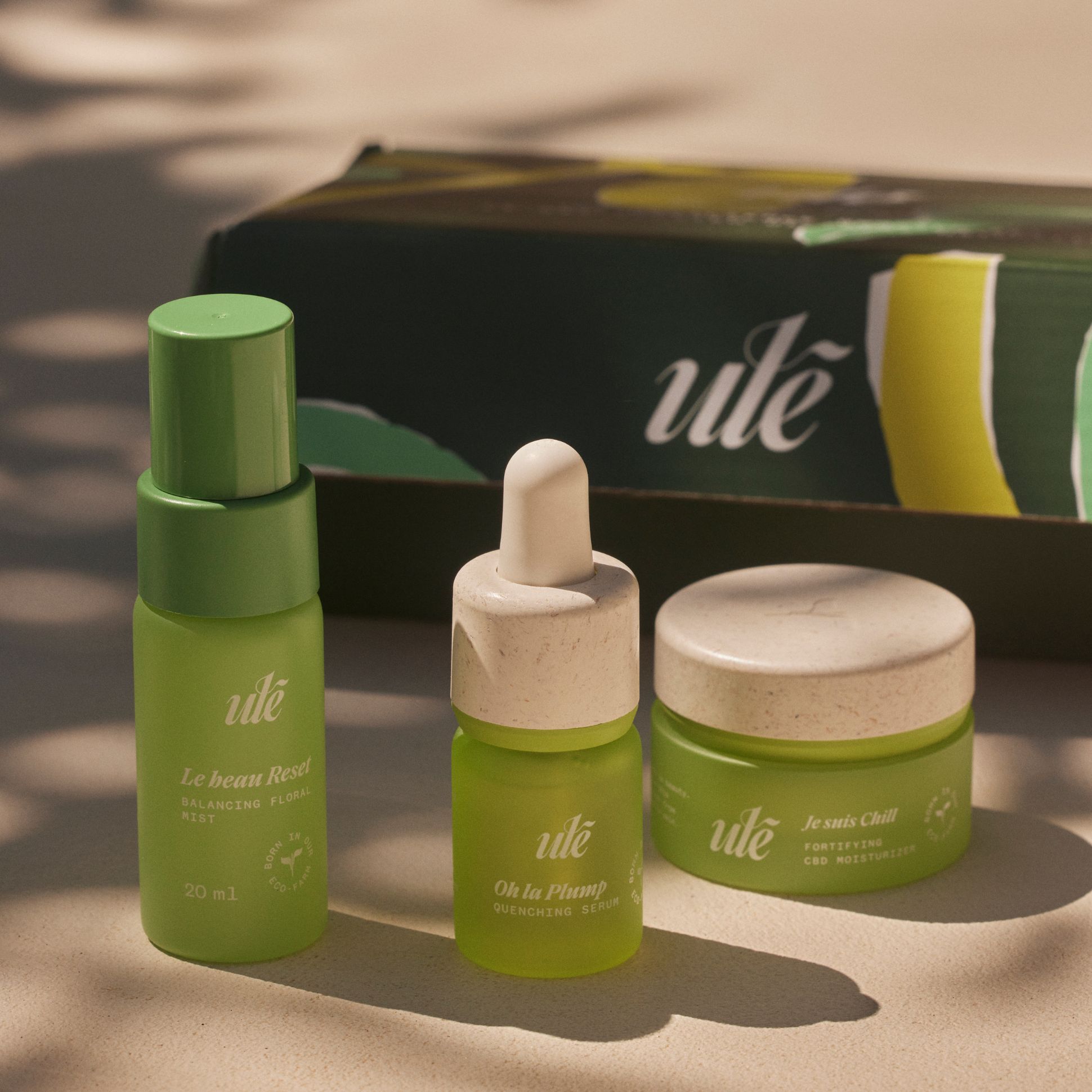 Carton Boxes packaging