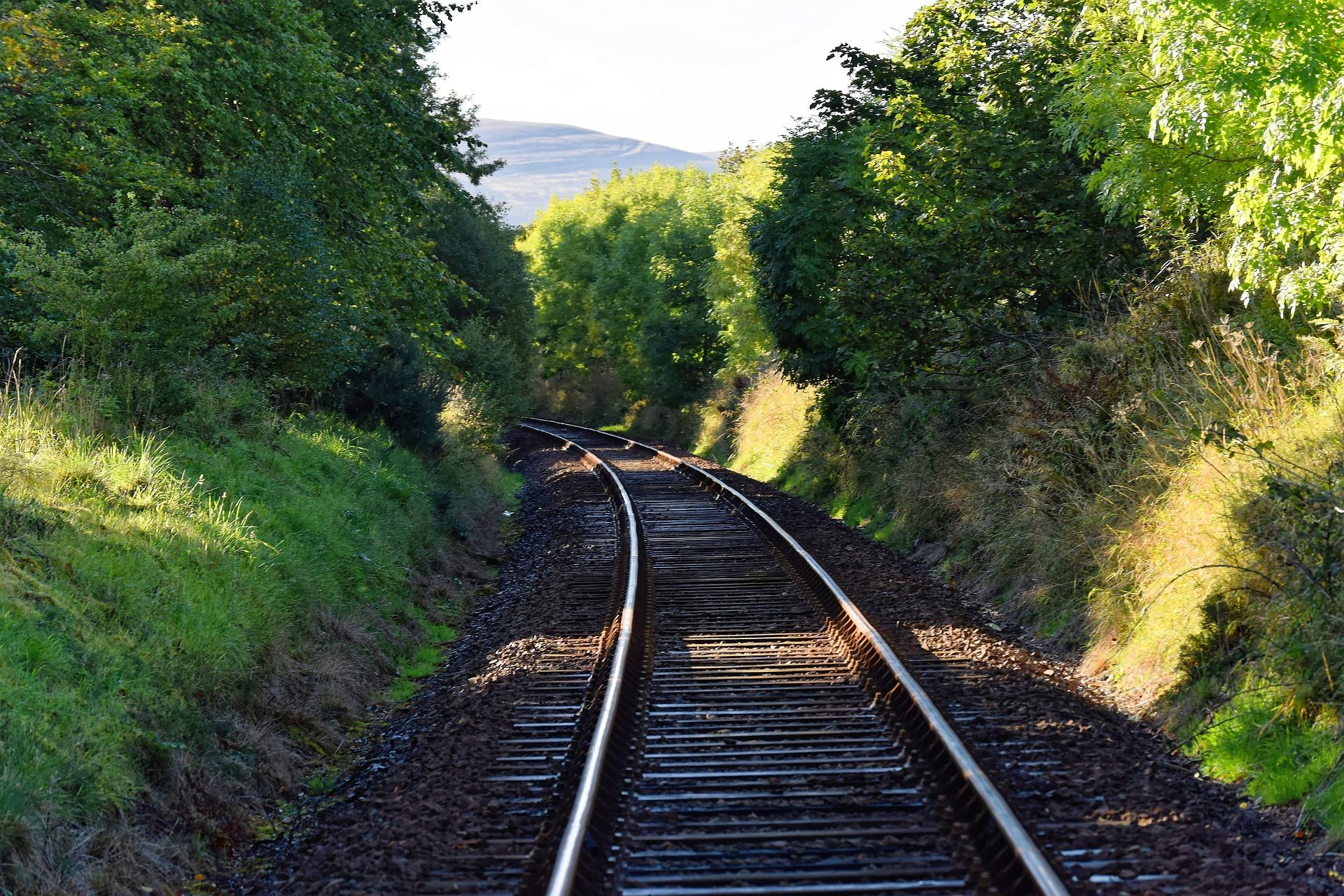 A railway track running through lush greenery