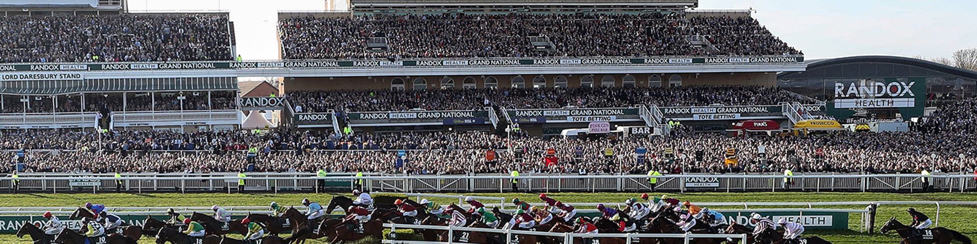 A group of jockeys are racing on the grass in front of a large crowd.