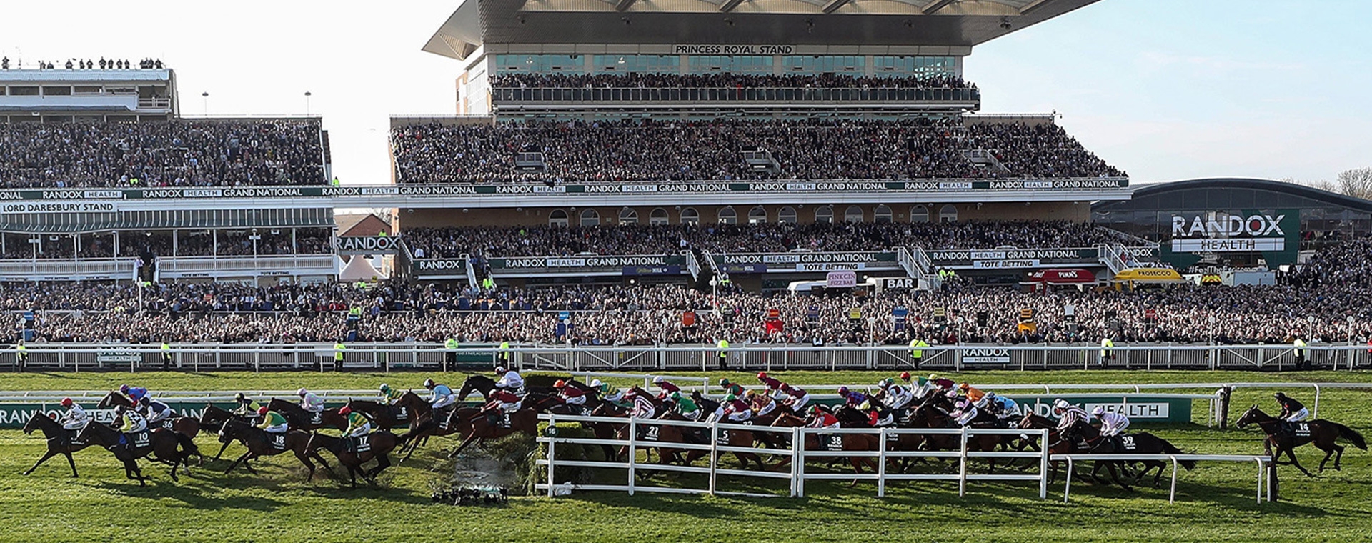 A group of jockeys are racing on the grass in front of a large crowd.