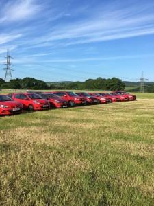 A line of parked red vehicles in a field