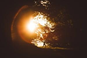 A person running through a forest at sunset