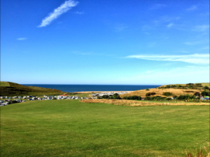 A sunny green landscape 