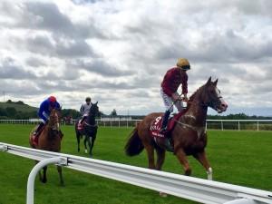 Three race horses being ridden by jockeys