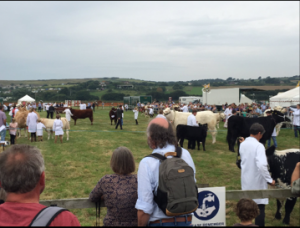 Spectators at the Melplash Agricultural Show