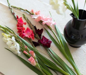 Bunte Gladiolen aus dem Blumenfeld neben schwarzer Vase