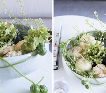 Komposition aus Zierkürbissen mit Ranken in weißer Schale neben Duftkerze