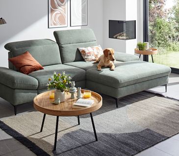 Grünblaues Ecksofa in einem hellen Wohnzimmer mit einem Hund, der auf der rechten Seite des Sofas liegt