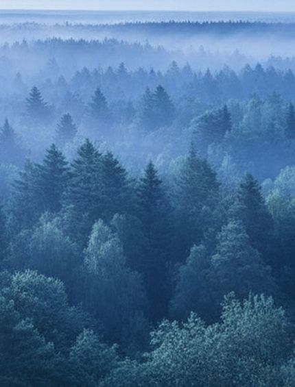 Holz rettet Klima. Erfahre mehr zur Initiative.