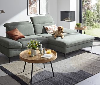 Pflegen Sie Ihre Möbel mit Stoffbezug bevor es zu Verunreinigungen kommt, damit Sie lange Freude daran haben Grünblaues Ecksofa in einem hellen Wohnzimmer mit einem Hund, der auf der rechten Seite des Sofas liegt
