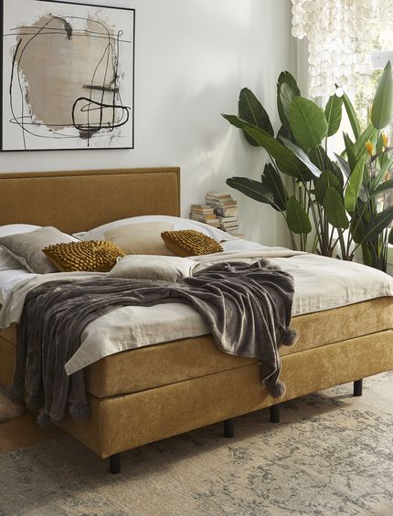 Senffarbenes Boxsping-Bett mit Samtbezug in hellem Schlafzimmer mit Pflanze und Fenstern