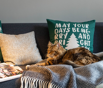 Katze auf weihnachtlich dekoriertem Sofa