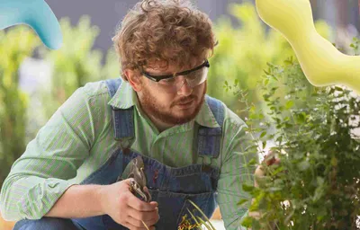 A man in denim overalls, green shirt, and safety glasses prunes a green plant with shears, focused on his task.