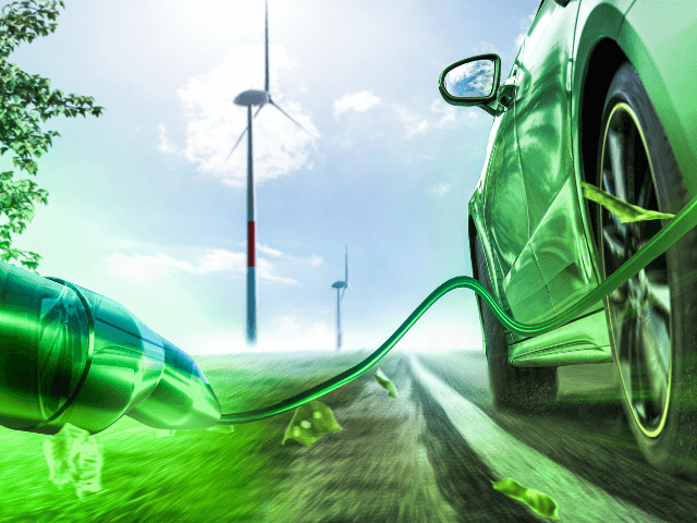 Car industry urges ministers to drive incentives for electric vehicle purchases 2 1