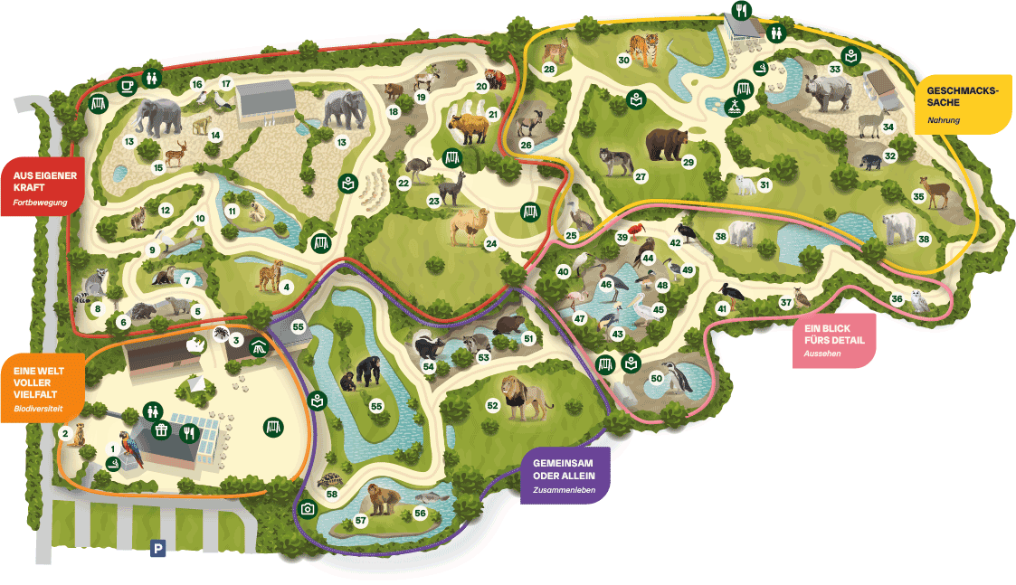 De Duitse plattegrond van Eindhoven Zoo LR De Duitse plattegrond van Eindhoven Zoo LR