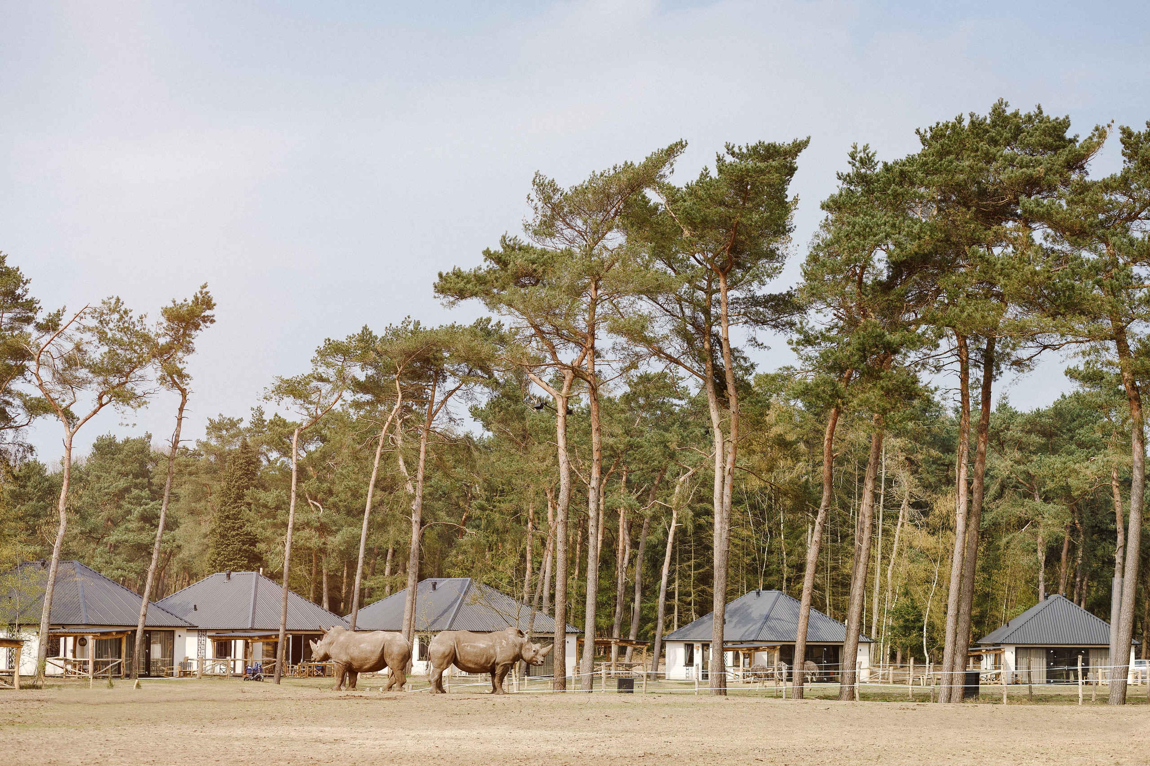 Sleep Among The Animals Beekse Bergen