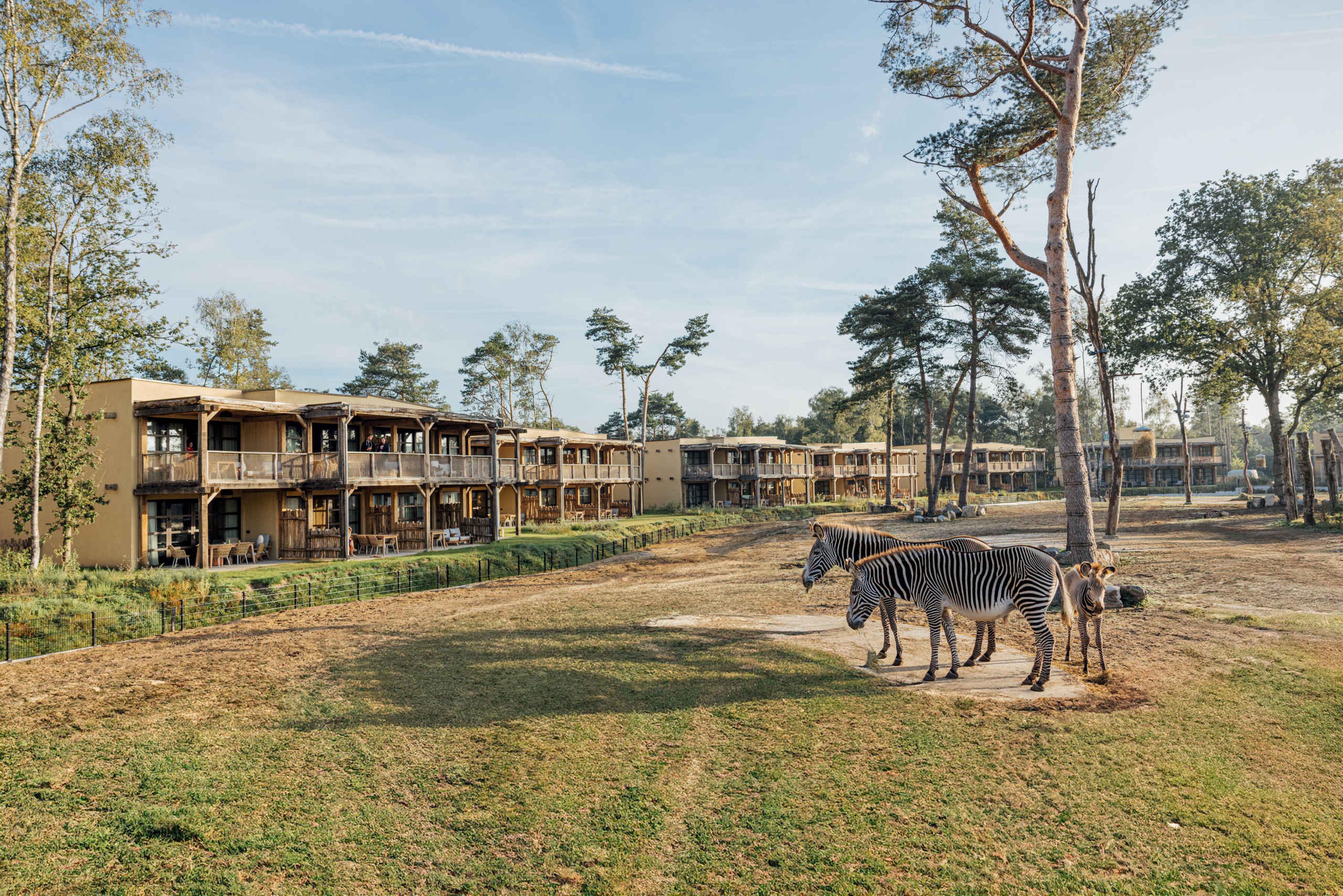 Het Safari Hotel Locaties Beekse Bergen