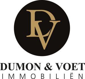 Logo Dumon & Voet Immo_office:1492