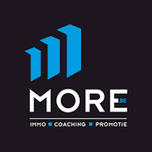 logo immo more_office:4310