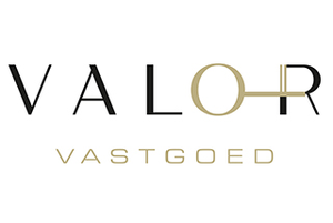 Valor Vastgoed logo