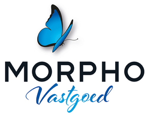 logo Morpho vastgoed