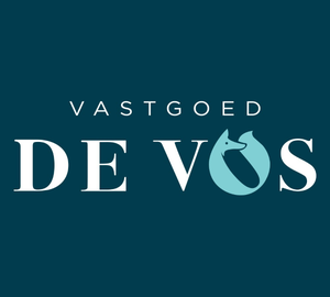 logo-vastgoed-de-vos evergem_office:3991