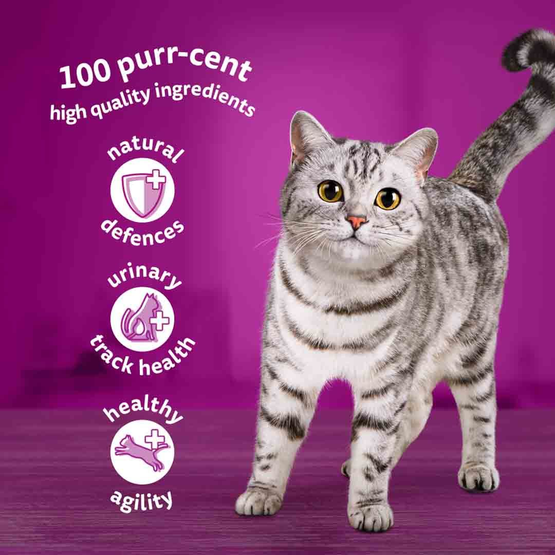 Whiskas Poultry Feasts in Jelly 7+ Senior Wet Cat Food Pouches