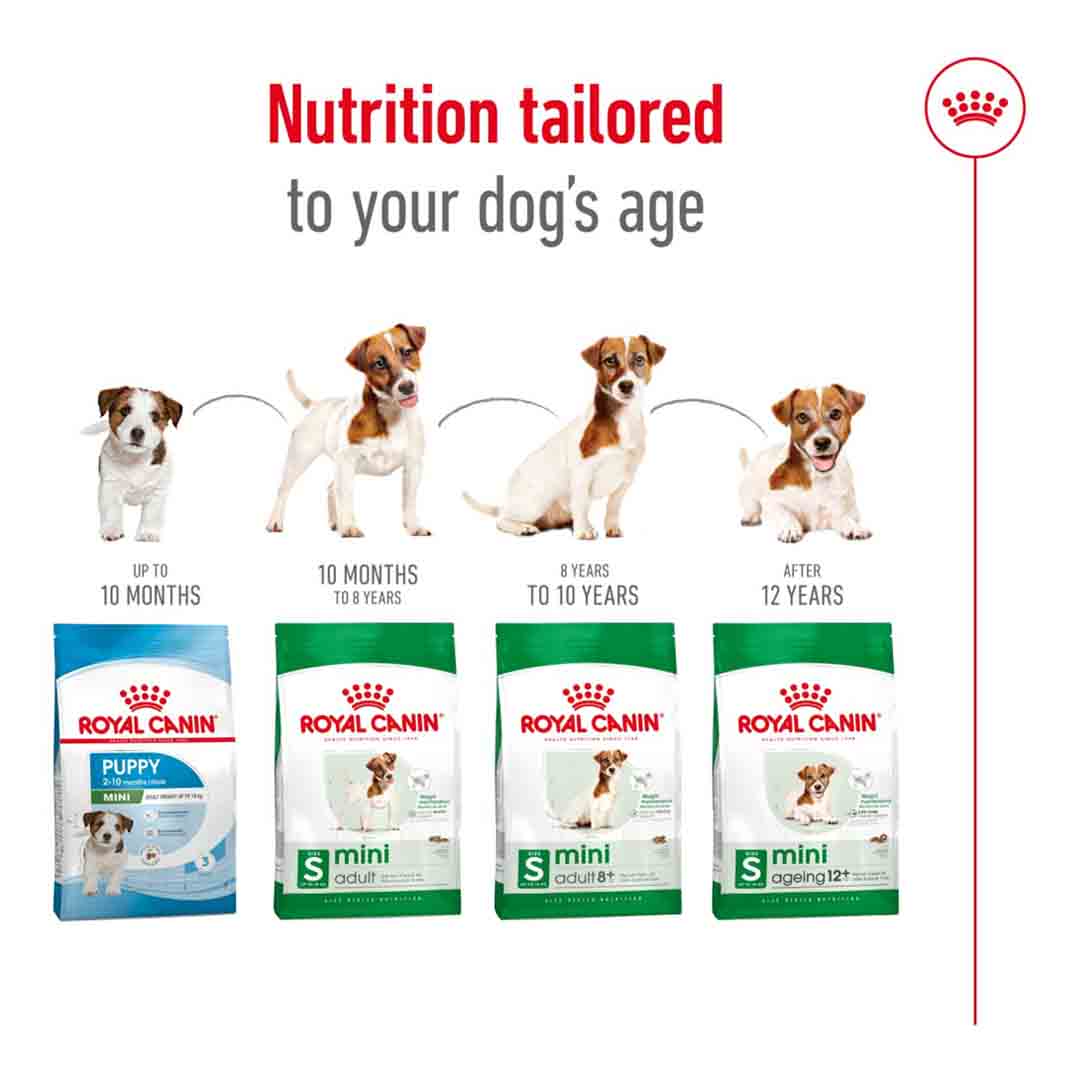 Royal Canin Dry Dog Food Mini Adult 8+ 2kg | Jollyes
