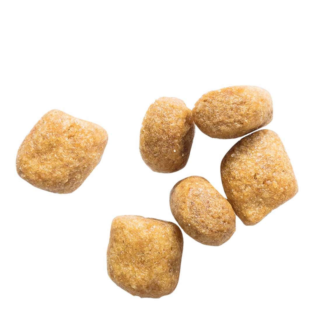 Hill's Science Plan Adult Oral Care Dry Cat Food Chicken Flavour 1.5kg