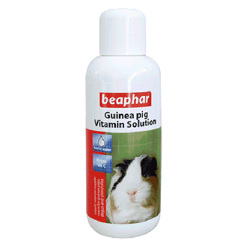 Beaphar Guinea Pig Vitamin Solution 100ml | Guinea Pig Health & Treatments