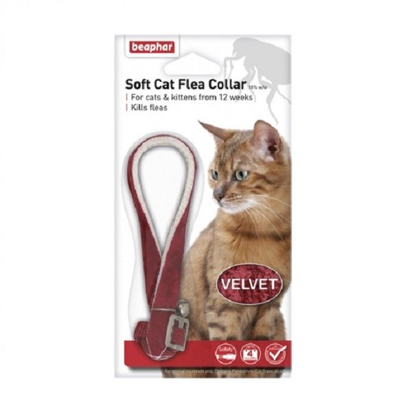 Cat Flea & Tick Treatment Jollyes The Pet People