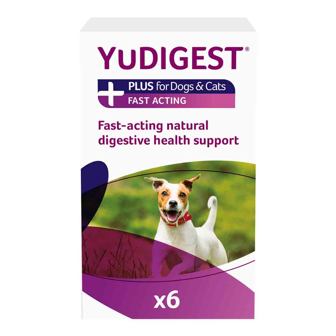Yudigest Plus Probiotics for Dogs and Cats Digestive Care