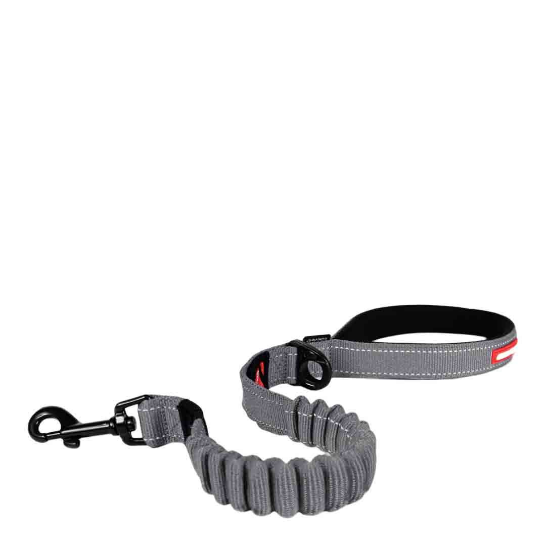 Dog LeadsZero Shock Lead, Reflective Lead, Retractable Cord Jollyes