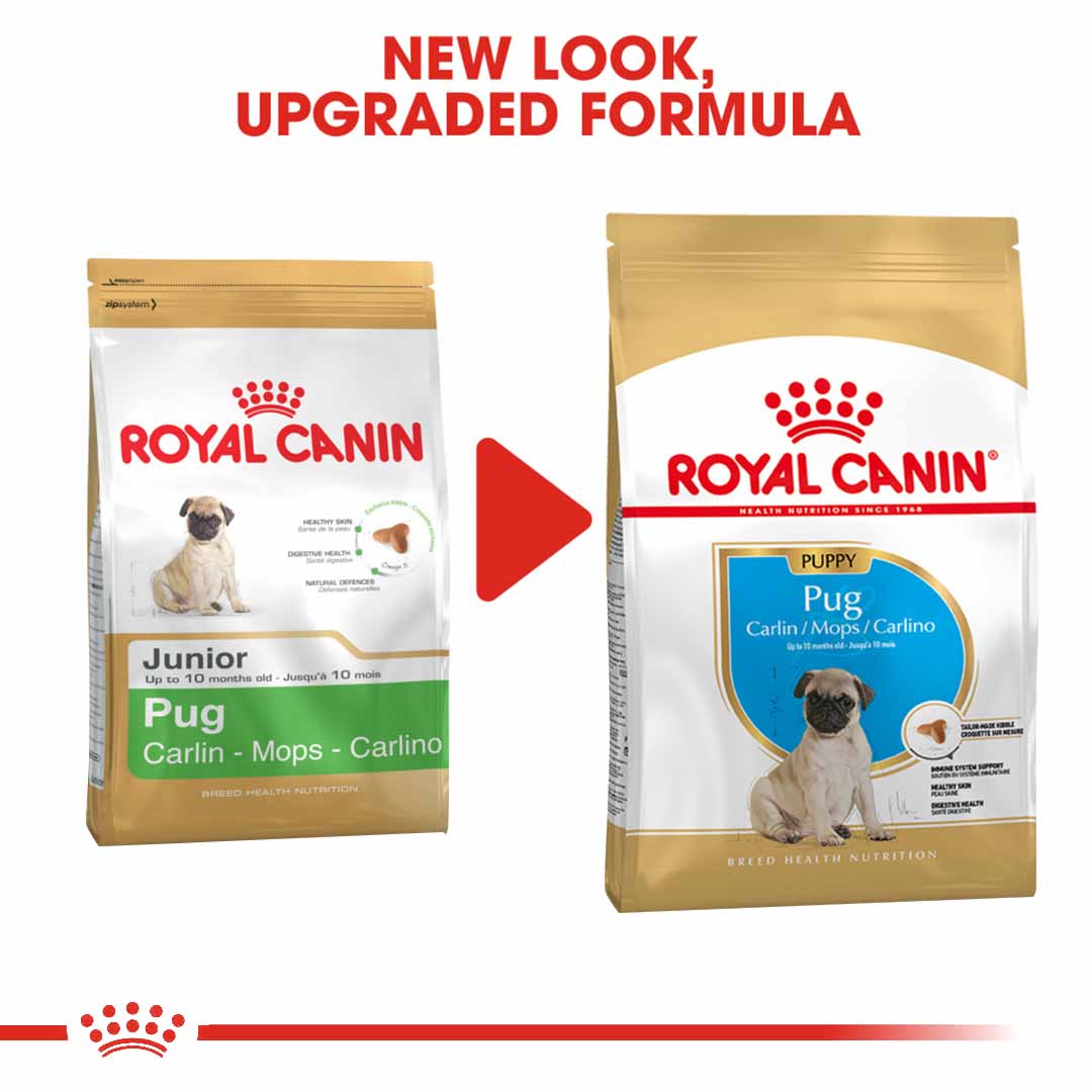 Royal Canin Dry Dog Food Pug Puppy, Jollyes