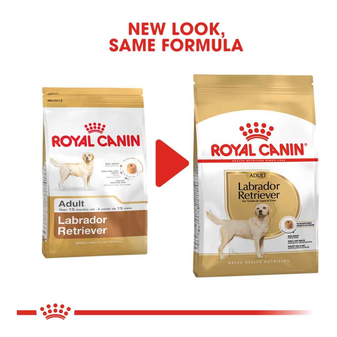 Royal Canin Labrador Retriever Adult Dry Dog Food