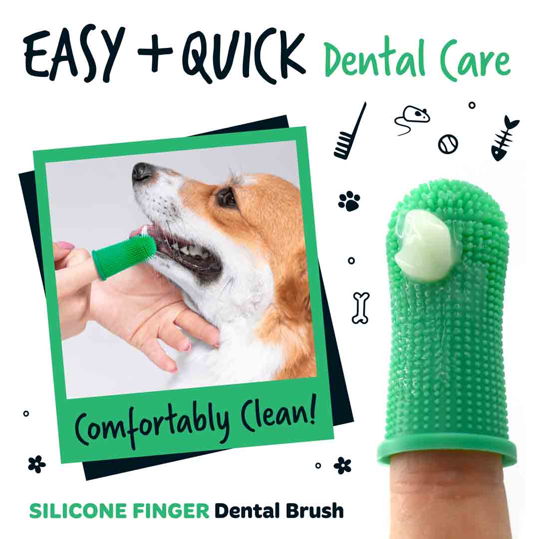 Finger Brush Bristly Dog Toothbrush Review Tooth Brush Bristle