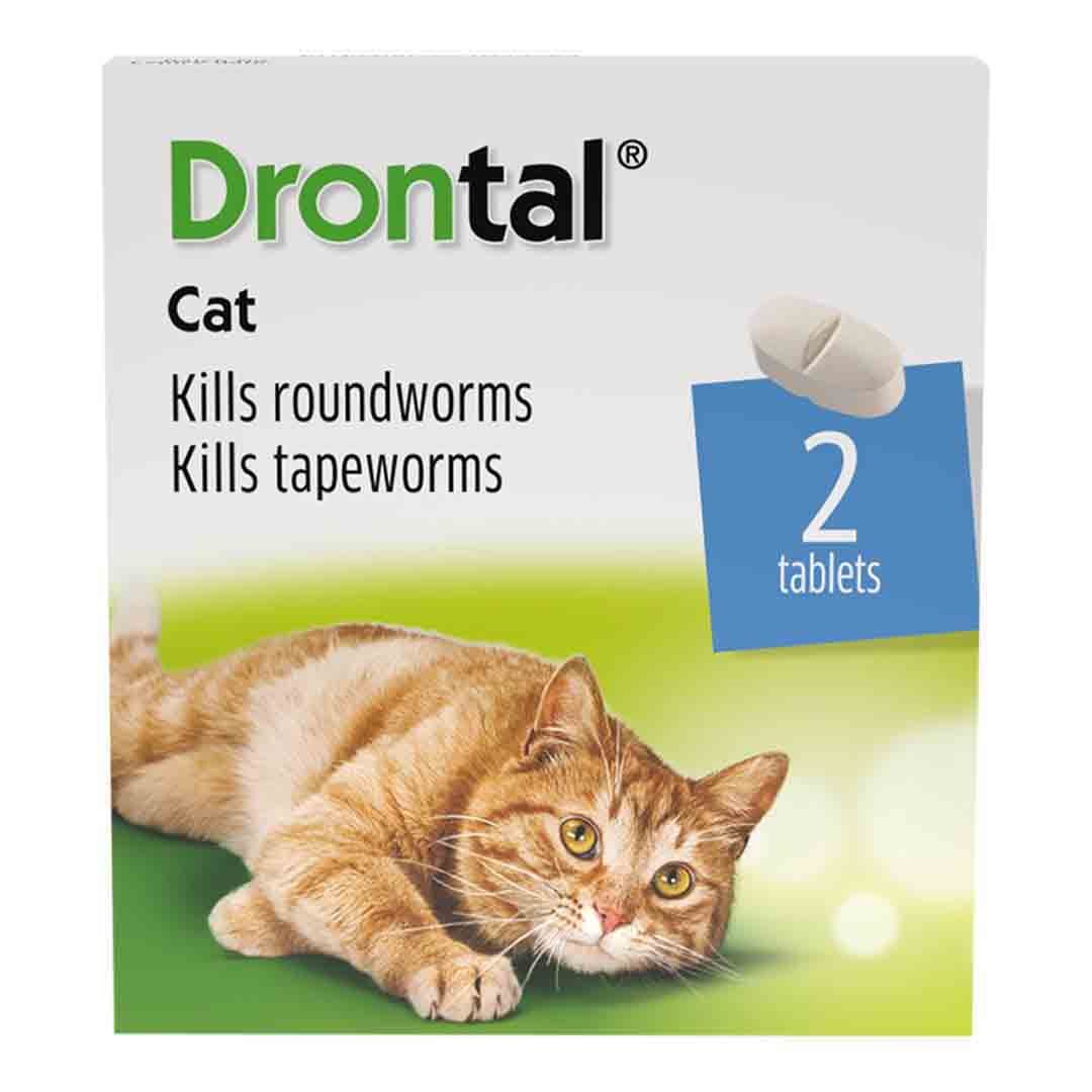 Cat First Aid Ear Drops & Eye Drops Jollyes The Pet People