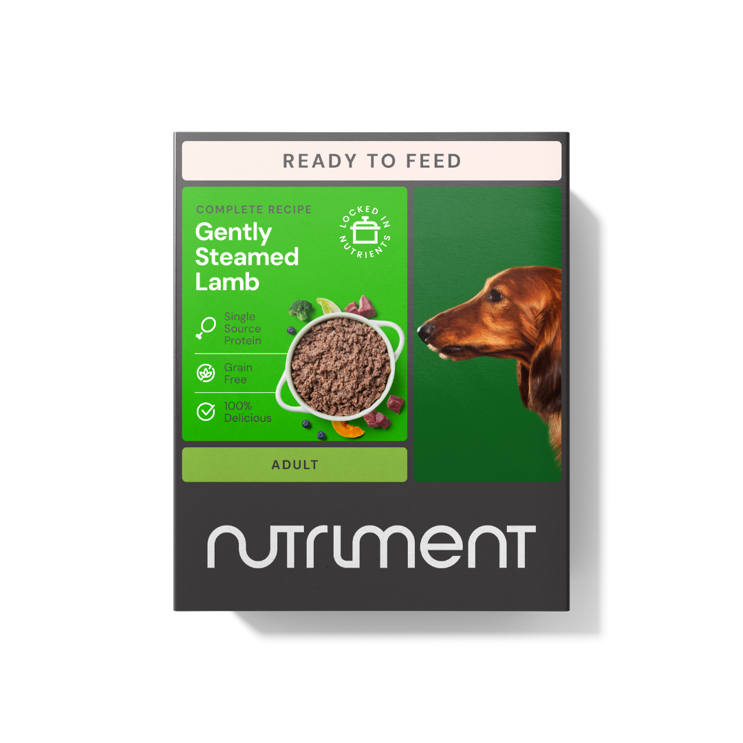 Nutriment Nutriment Gently Steamed Raw Lamb Adult Dry Dog Food pet food packaging