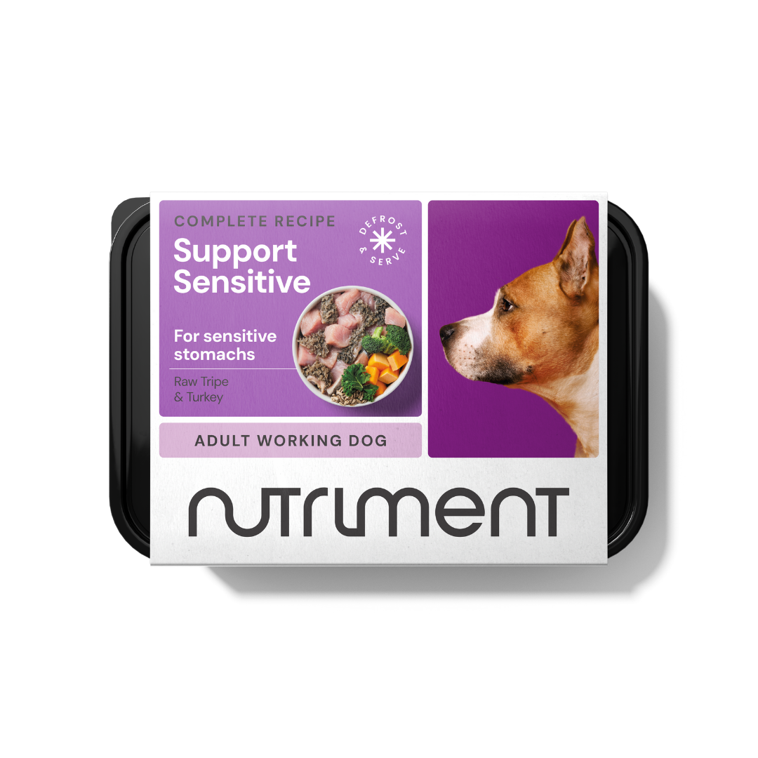 Digestive Health Best Puppy Food For Sensitive Stomach Uk