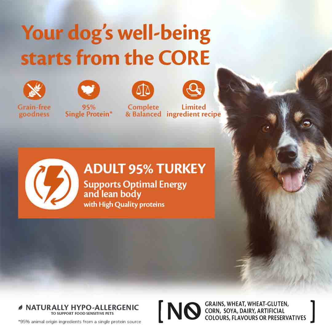 Wellness CORE Wet Adult Dog Food 95% Single Protein Turkey with
