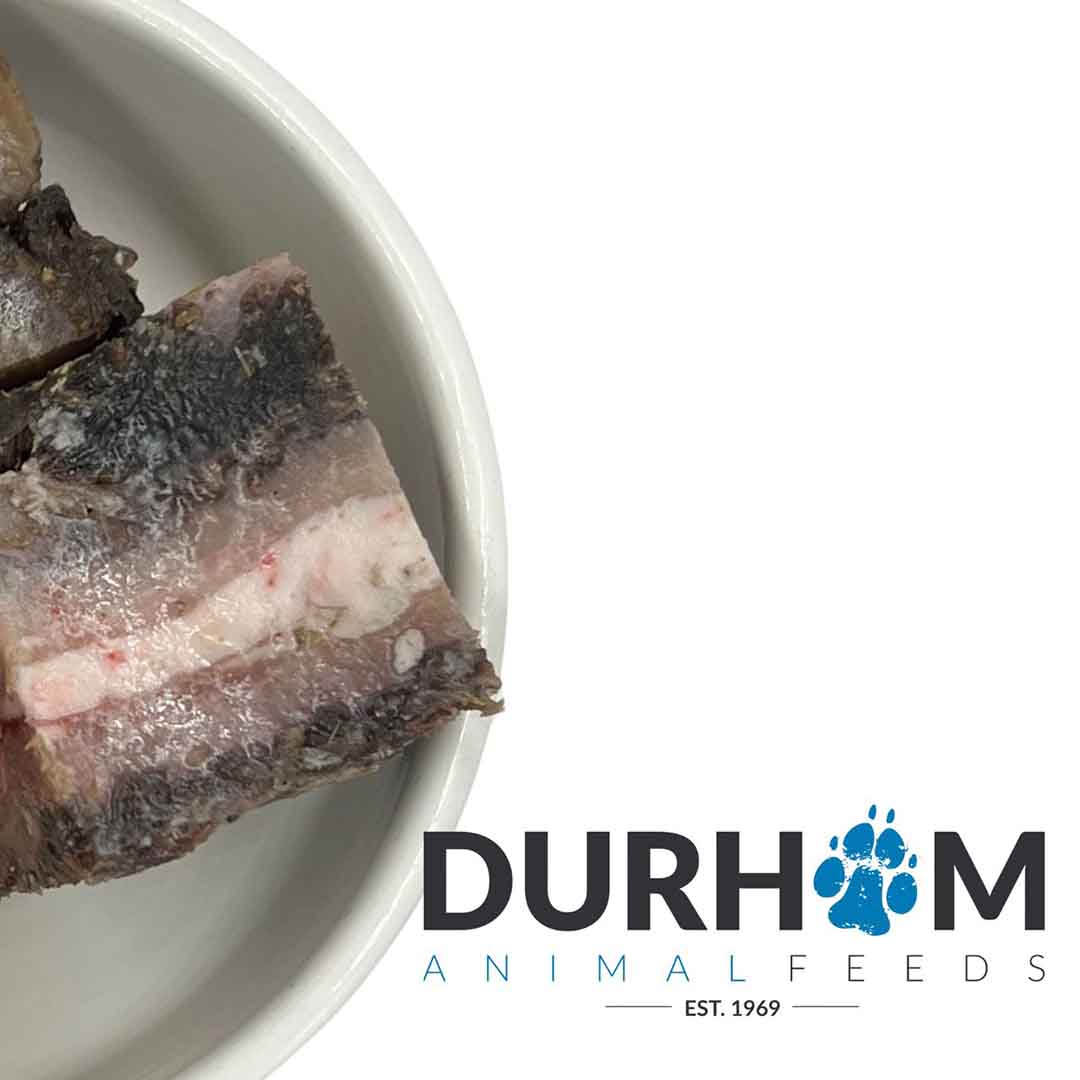 Durham Durham Animal Feeds Boneless Raw Beef Tripe Adult Dry Dog Food pet food packaging