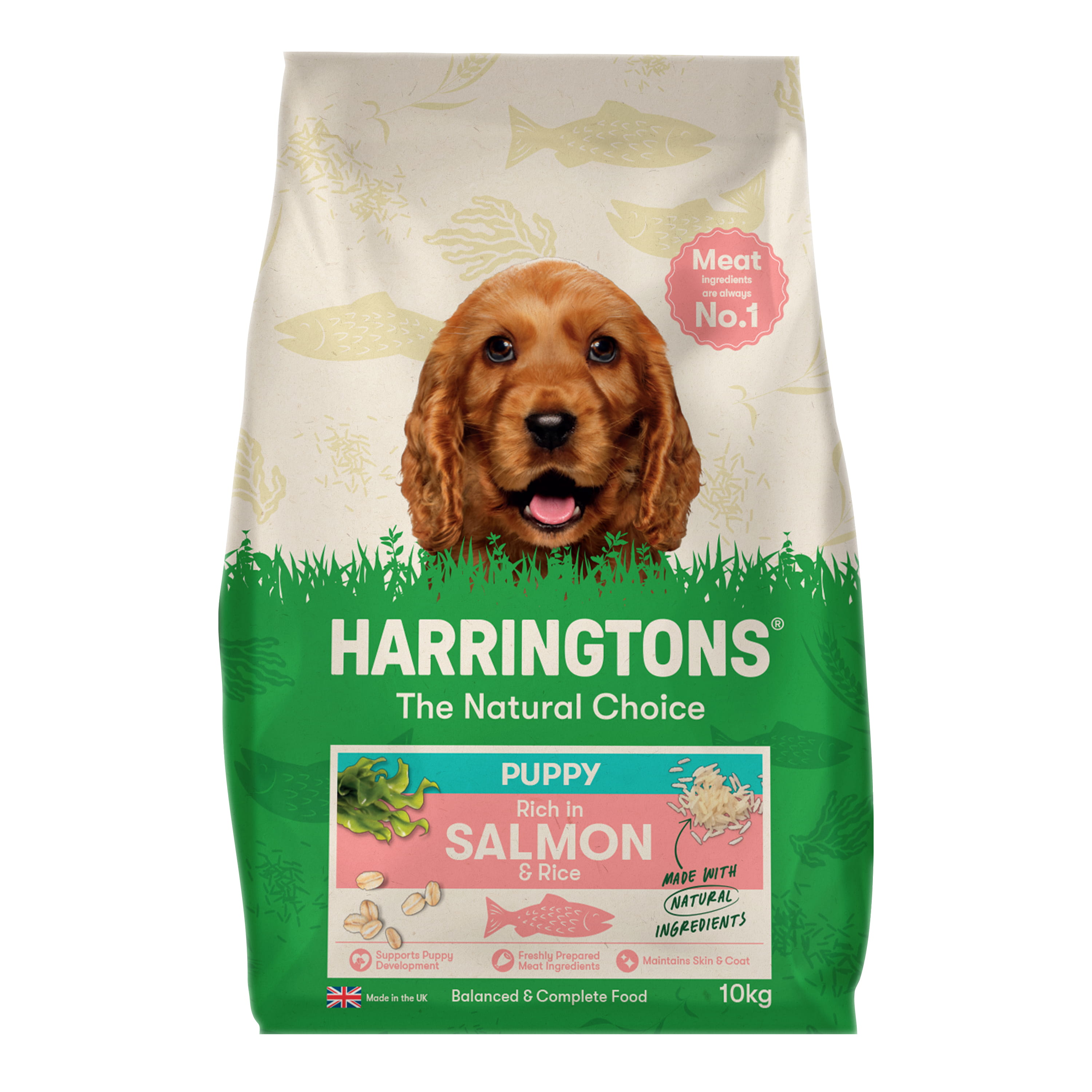 Harringtons Harringtons 38 Salmon Puppy Dry Dog Food pet food packaging