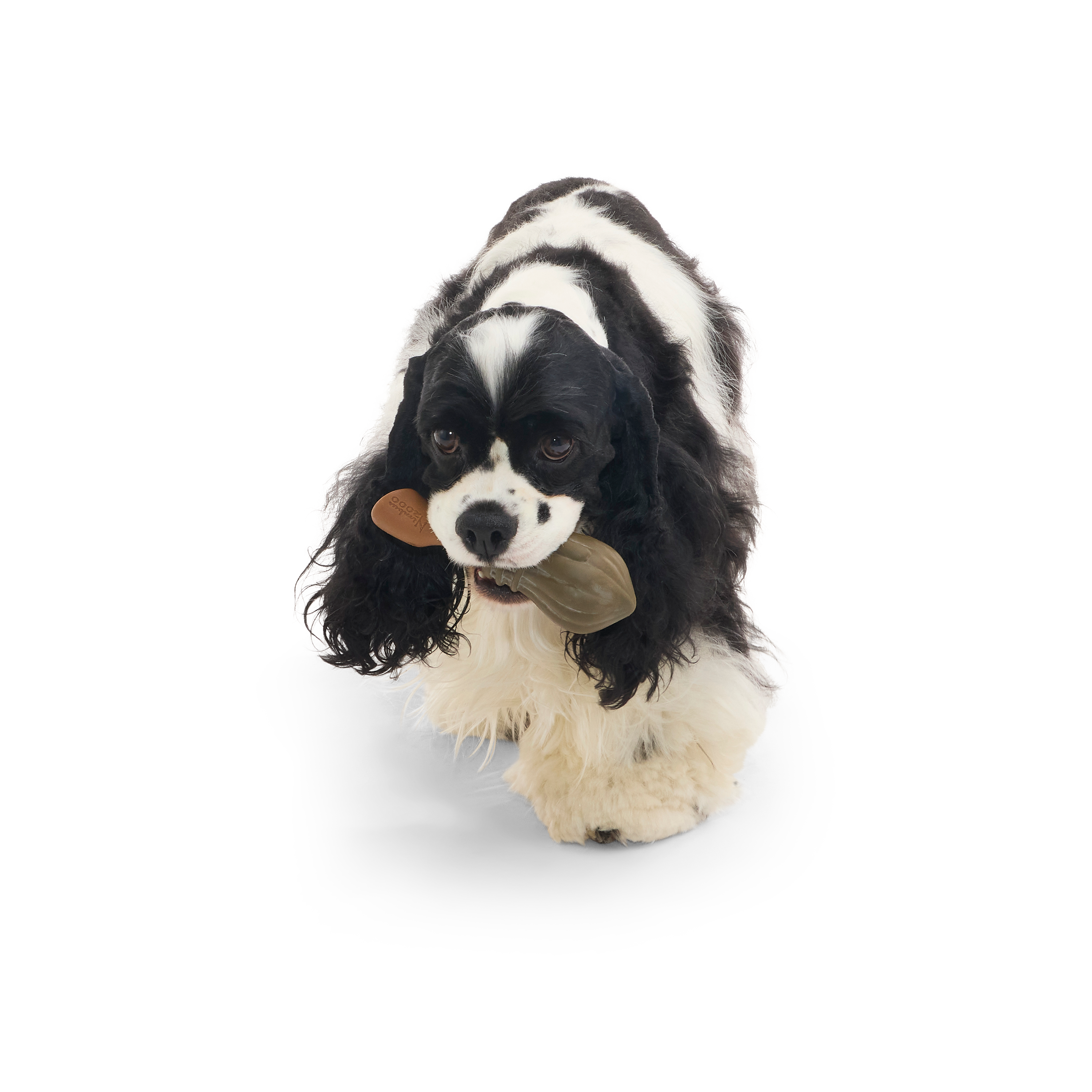 Bark Nimbus 2000 Harry Potter Dog Toy
