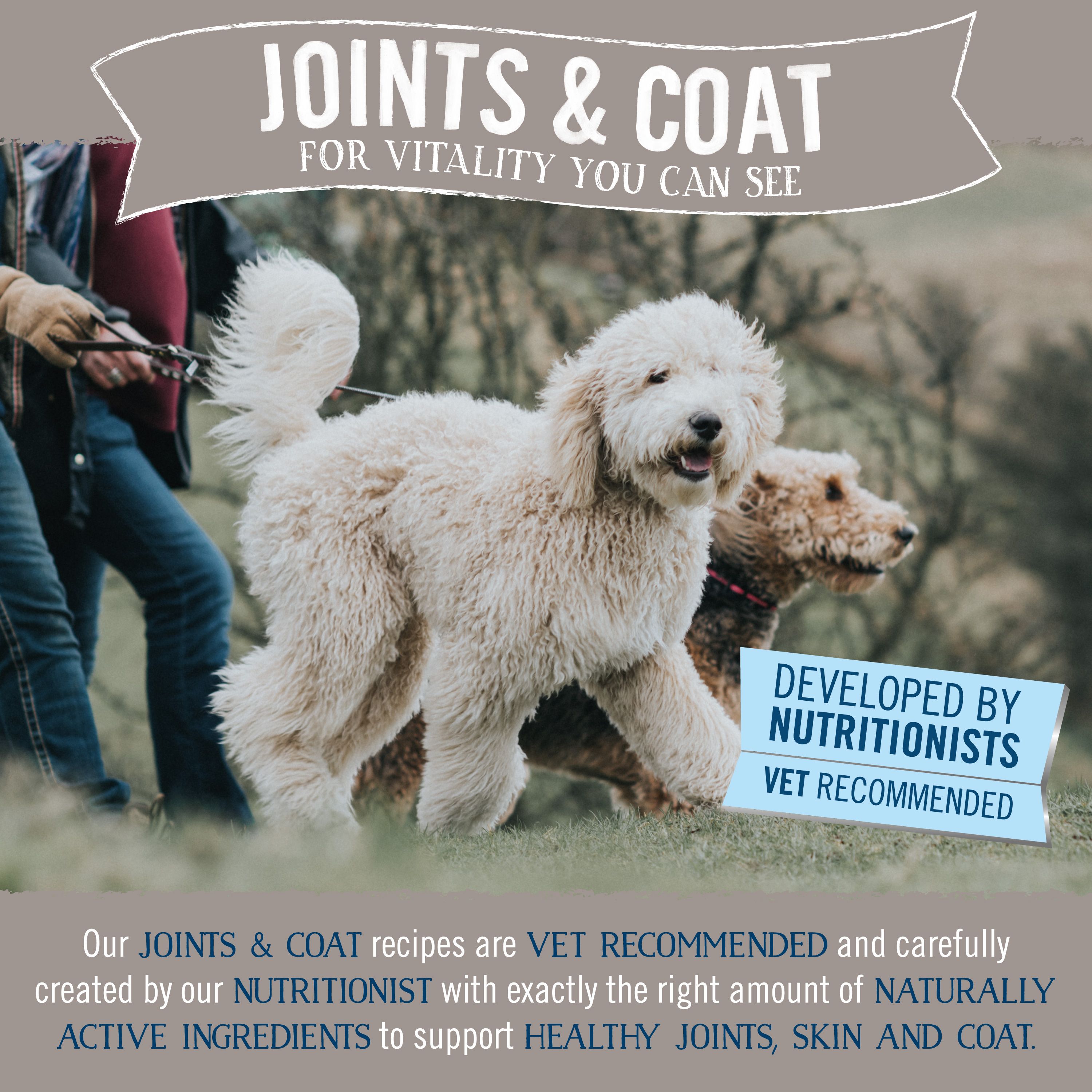 Butcher's Joints and Coat Dog Food Loaf 18 x 390g Wet Dog Food