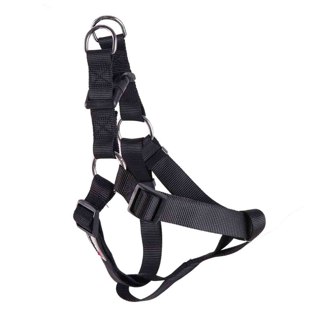 Doodlebone Dog Accessories Instore & Online at Jollyes