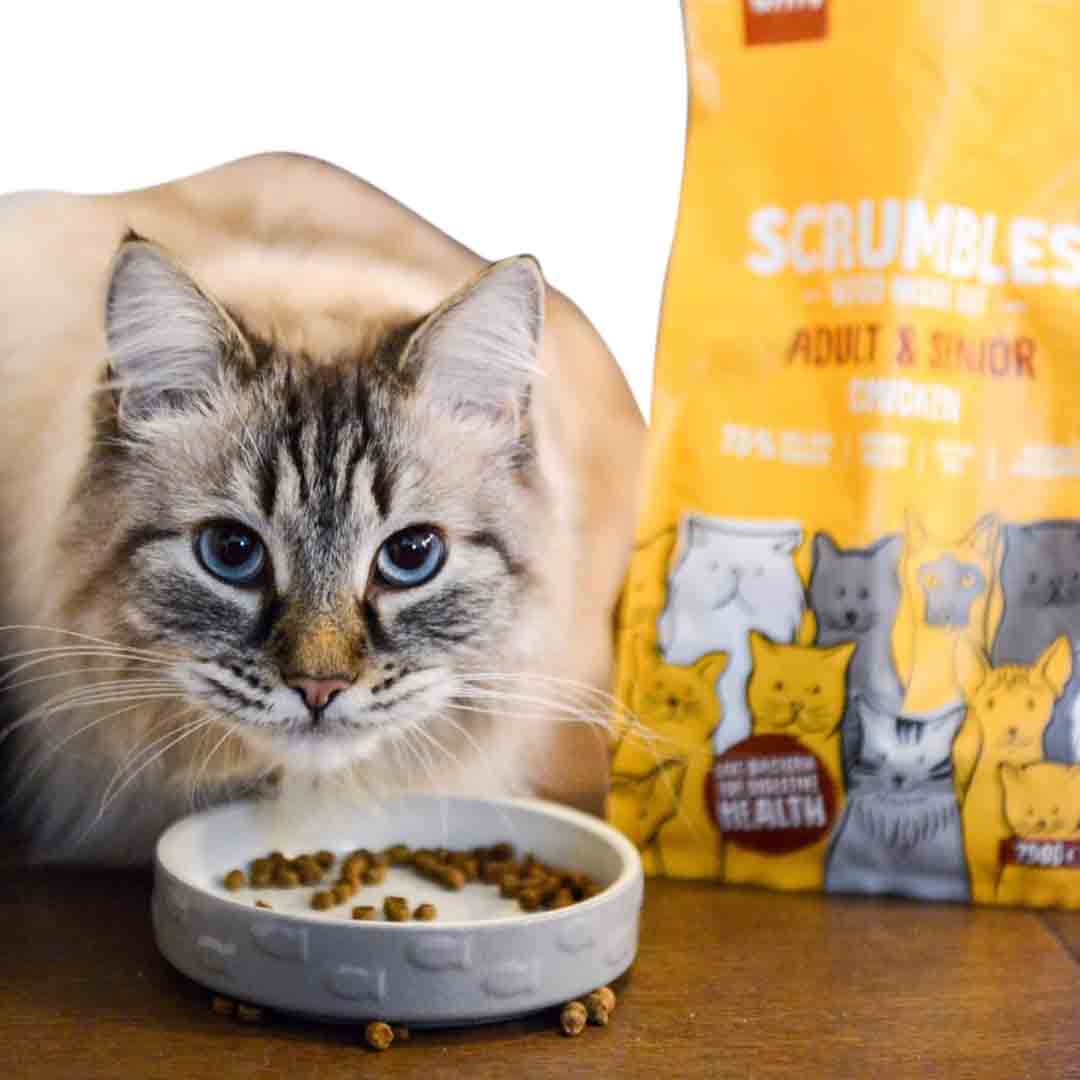 Scrumbles Dry Cat Food for Adult Seniors Chicken Jollyes
