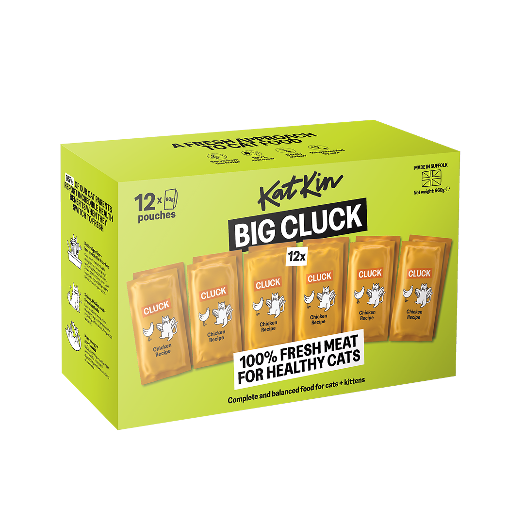 KatKin Katkin Big Cluck Chicken Kitten Dry Cat Food pet food packaging