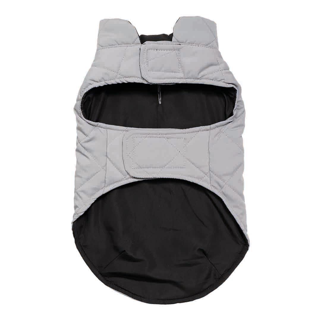 Rufus & Rosie Padded Jacket Small+ Dog Coat Jollyes